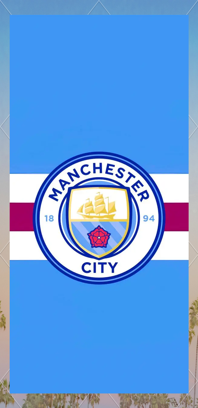 英超曼城与切尔西积分榜竞争激烈（英超积分榜曼城与切尔西争夺白热化）